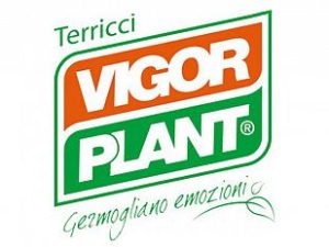 Terriccio Vigor Plant